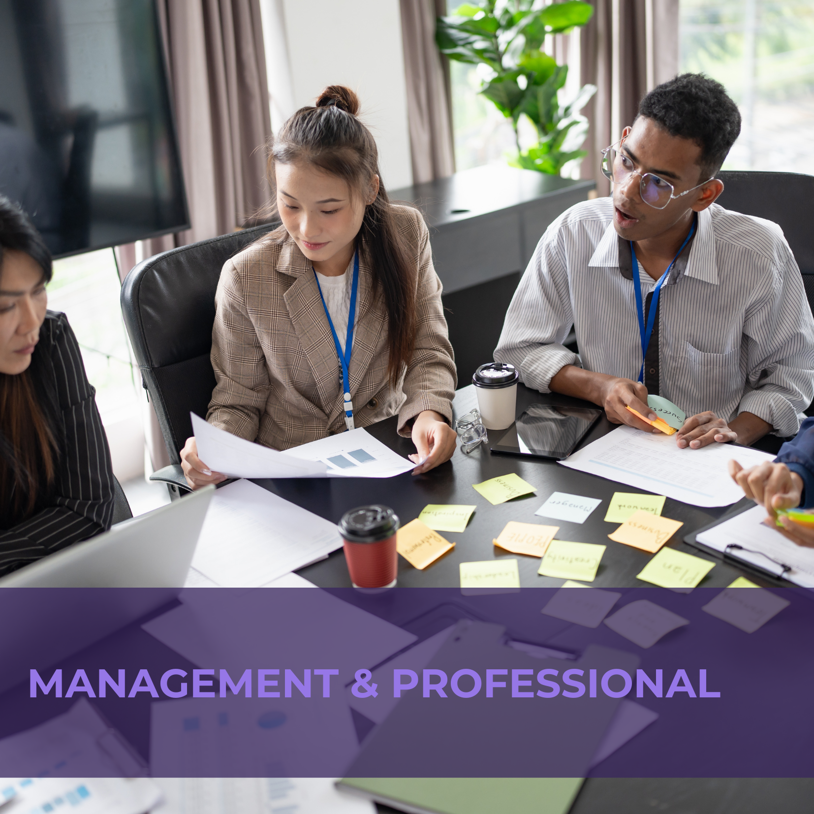 Mangement and Professional img