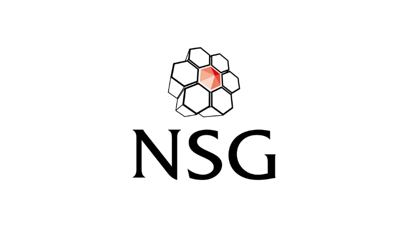 NSG
